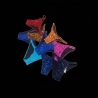 Slip Body Toutes Fédérations - Premium (hors IFBB)