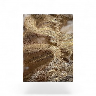 Slip Body Toutes Fédérations - Premium Accueil 70,00 €