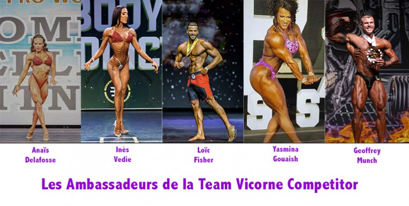 Team Vicorne