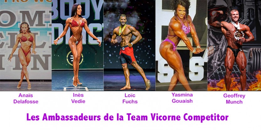 Team Vicorne